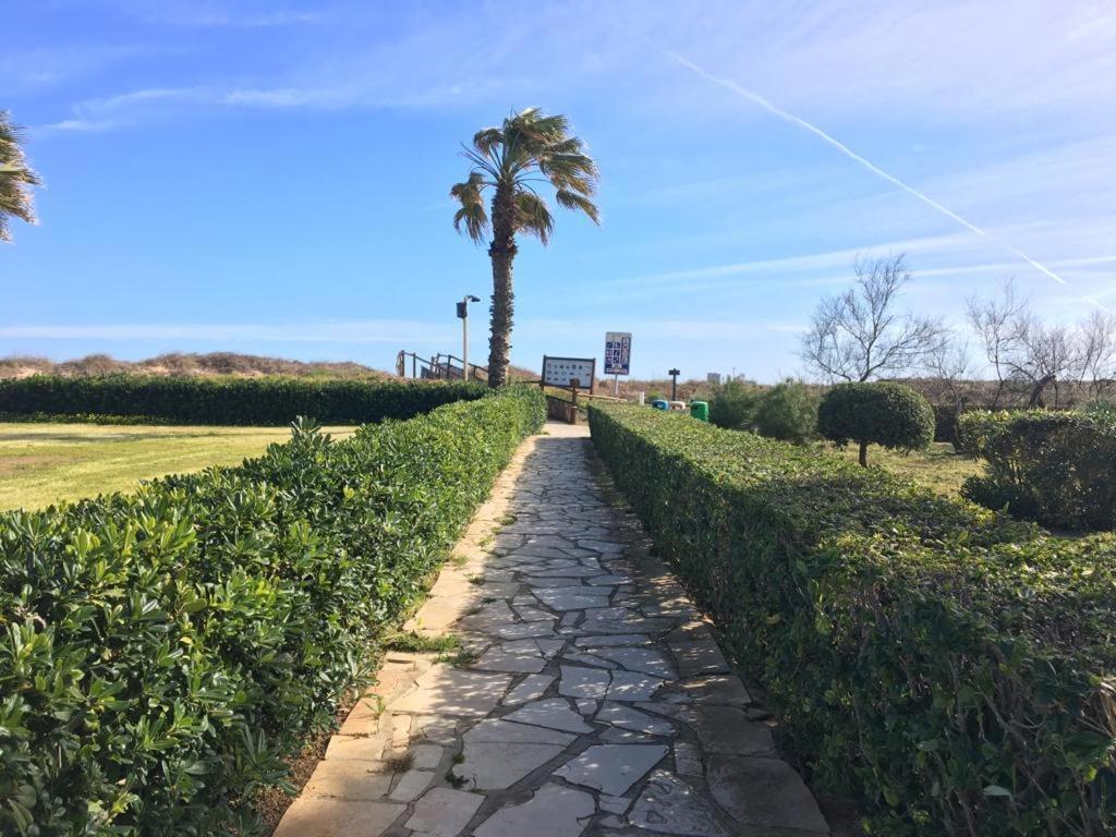 Apartamento A 100 Metros De La Playa Con Grande Terraza Y Vistas Al Mar Daimus Εξωτερικό φωτογραφία