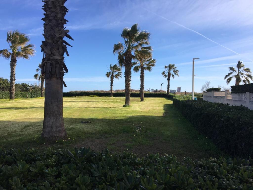 Apartamento A 100 Metros De La Playa Con Grande Terraza Y Vistas Al Mar Daimus Εξωτερικό φωτογραφία